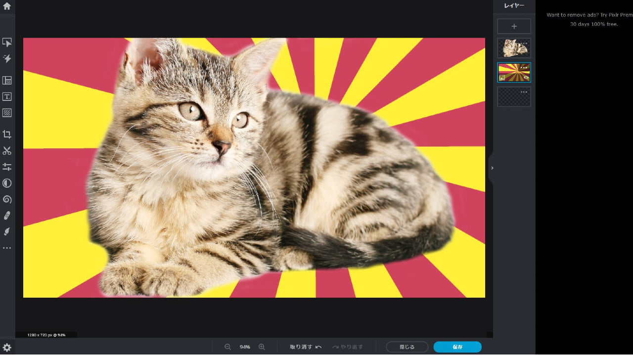Pixlr で編集した子猫の画像