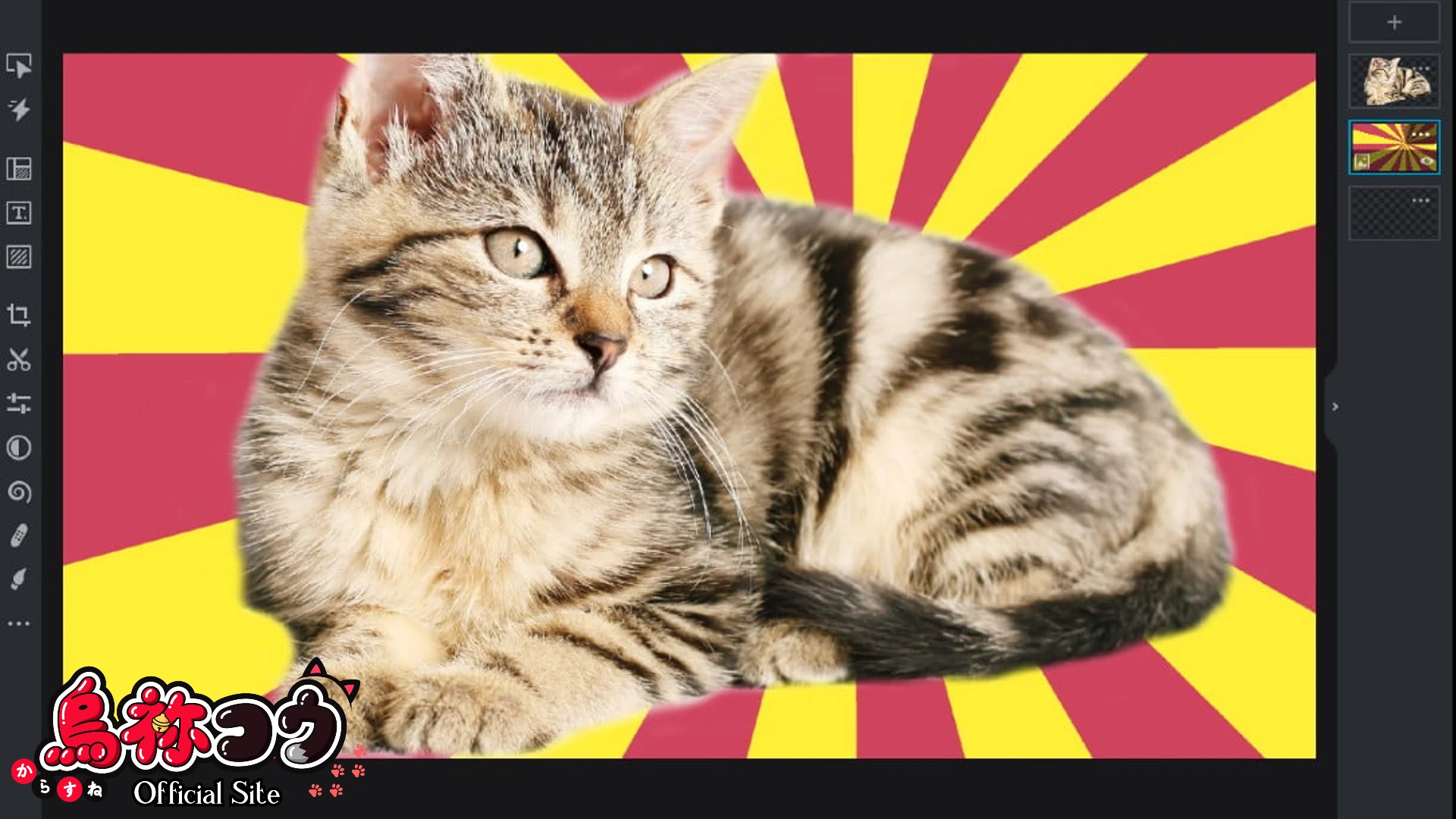 Pixlr で加工した猫の画像