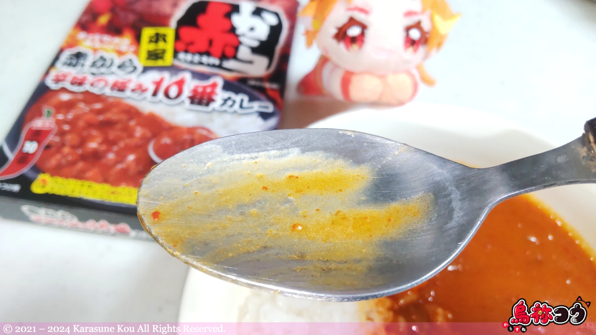 本家 赤から辛味の極み 10 番カレー 辛口を食べたところです