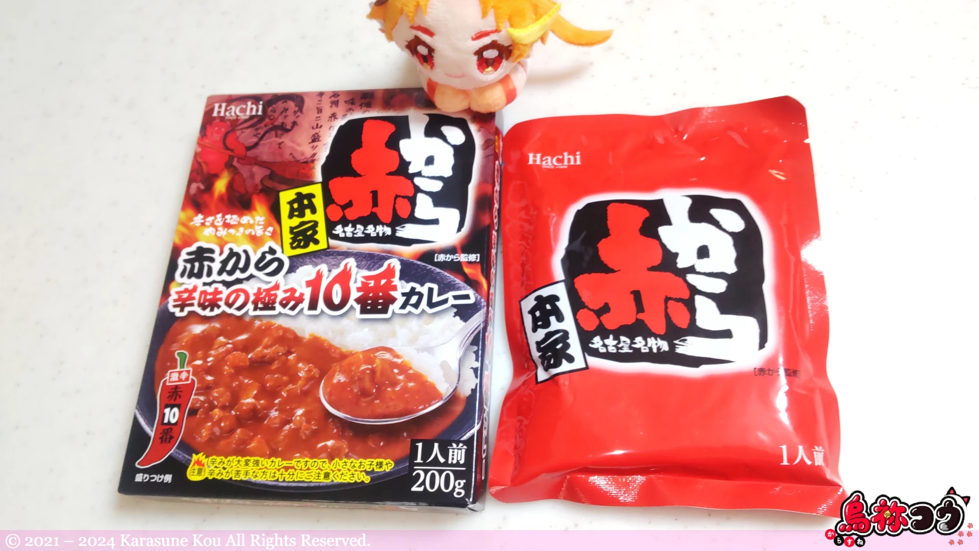 本家 赤から辛味の極み 10 番カレー 辛口のレトルトパウチです