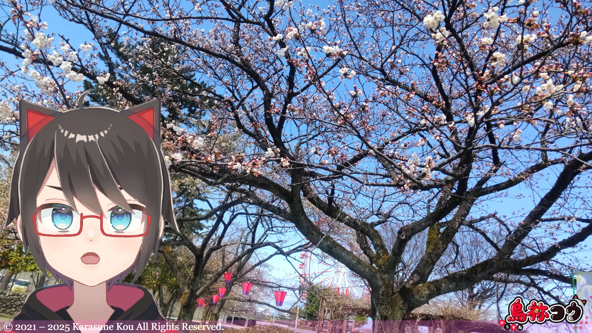 魚津水族館の桜の木です